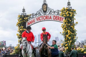 Levendi Begins His Tasmanian Journey