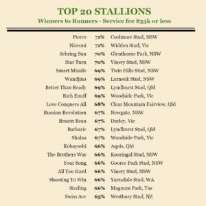 Sizzling the Only Tasmanian Stallion Featured in Breednet Top 20